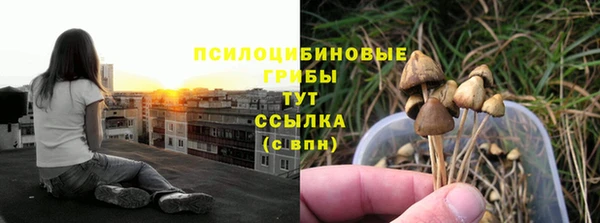 a pvp Баксан