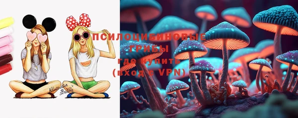 гидра Балахна