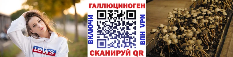 Галлюциногенные грибы мицелий  Феодосия 
